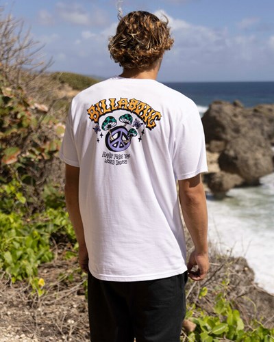 Billabong Peaceful Organic Krátké Sleeve T-Shirt Bílé | UAMBPD-263