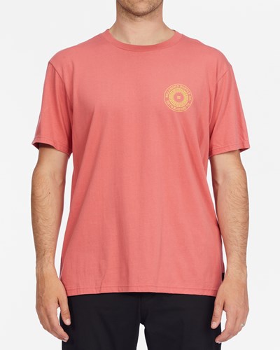 Billabong Praise Krátké Sleeve T-Shirt Růžové | GLFERC-507