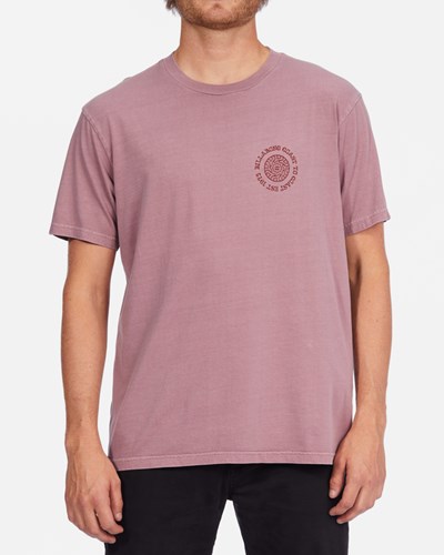 Billabong Radius Wave Washed Krátké Sleeve T-Shirt Dusty Palm | HSKZBM-983