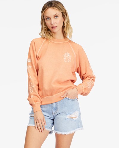 Billabong Shrunken Crew Pullover Sweatshirt Ginger | EPBWMX-053
