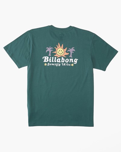 Billabong Social Club Krátké Sleeve T-Shirt Cypress | IWKEAF-483