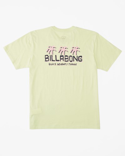 Billabong Social Club Krátké Sleeve T-Shirt Světle Zelene | MXTPRZ-610