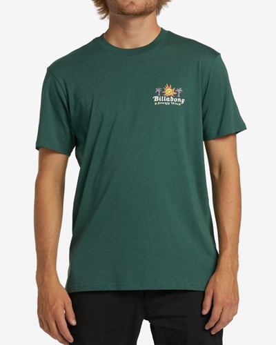 Billabong Social Club Krátké Sleeve T-Shirt Cypress | UISENT-390