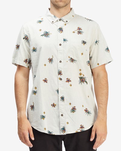Billabong Sundays Mini Krátké Sleeve Shirt Oatmeal | YMPBLW-798