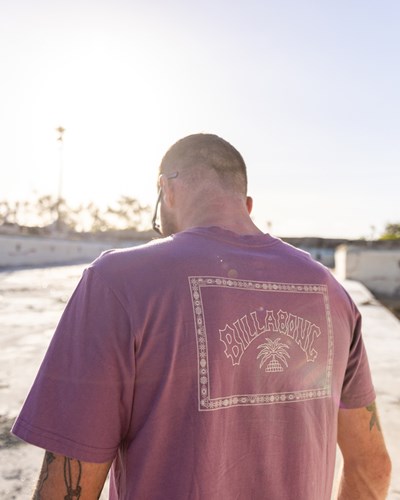 Billabong Theme Arch Krátké Sleeve T-Shirt Fialové | JBFSQZ-590