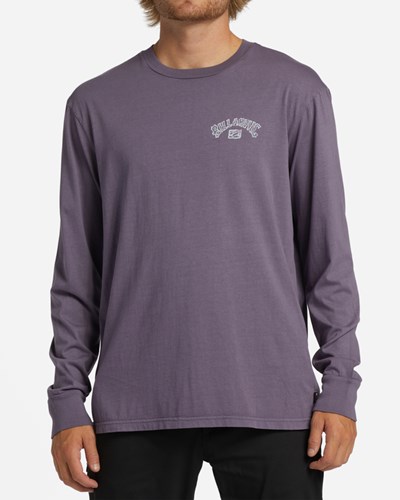 Billabong Theme Arch Wave Washed Long Sleeve T-Shirt Fialové | RTIMWU-236