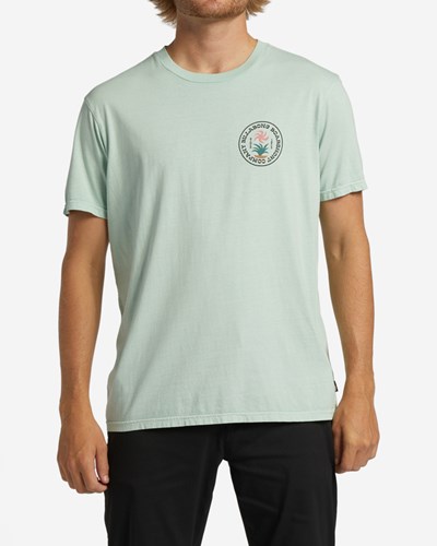 Billabong Trademark Wave Washed Krátké Sleeve T-Shirt Mátově Zelená | RNLHTG-043