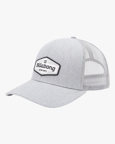 Billabong Walled Trucker Hat Šedé | FACTKP-137