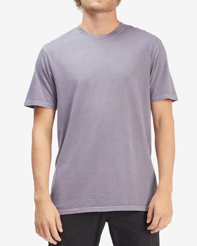 Billabong Wave Washed Krátké Sleeve T-Shirt Fialové | DCIJTN-637