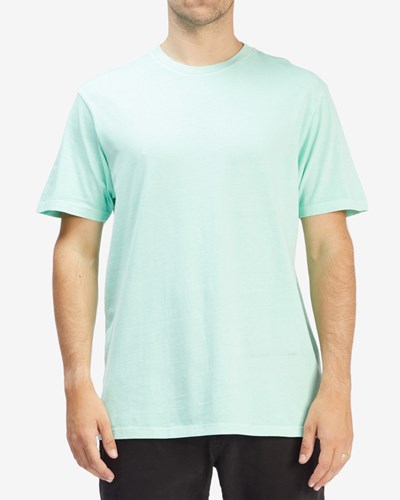 Billabong Wave Washed Krátké Sleeve T-Shirt Mátově Zelená | JESMNP-614