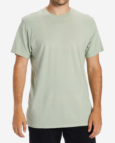 Billabong Wave Washed Krátké Sleeve T-Shirt Světle | UEVRPM-704
