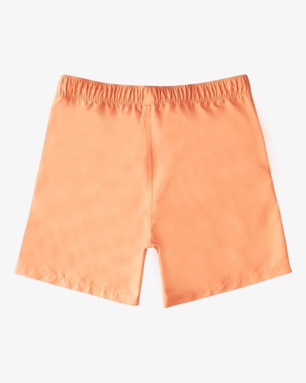 Billabong (2-7) All Day Layback Boardshorts 13