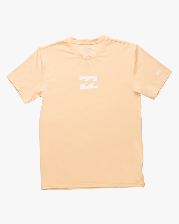 Billabong (2-7) All Day Wave Loose Fit Krátké Sleeve Surf Tee Dusty Melon | ITZHLP-428