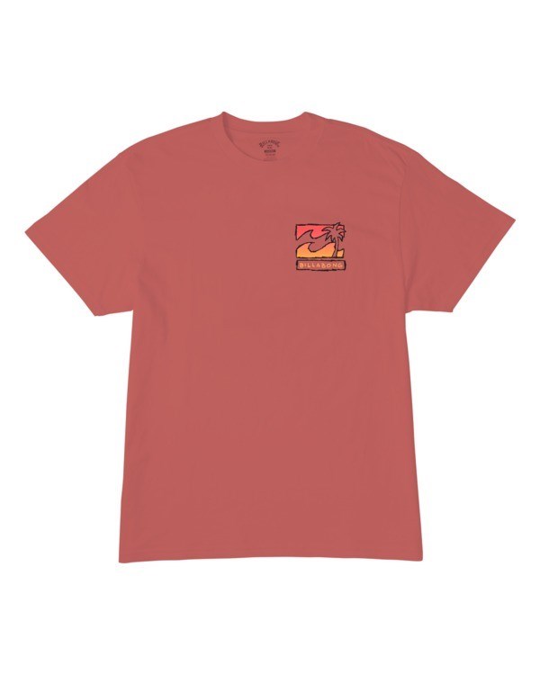 Billabong (2-7) BBTV2 Krátké Sleeve T-Shirt Růžové | SFJCLU-695