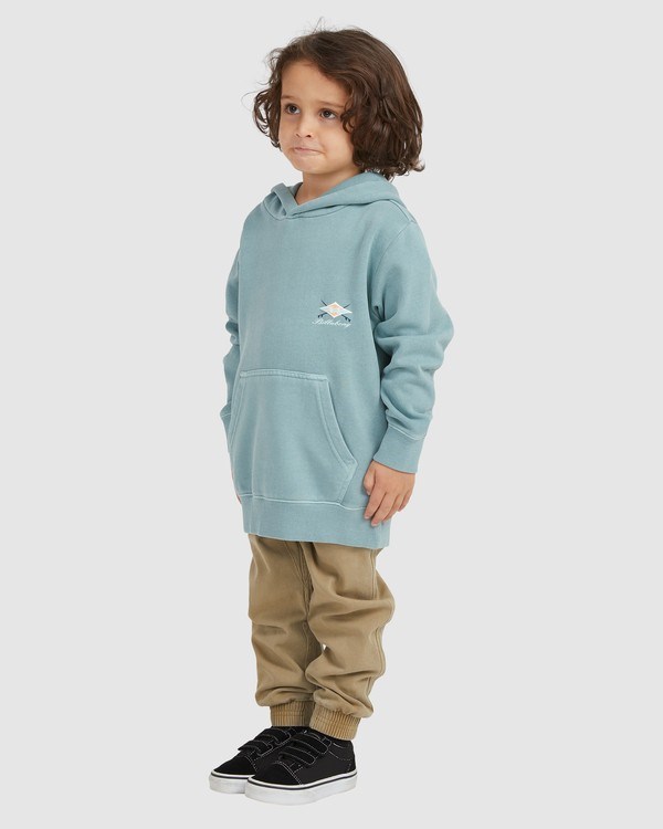 Billabong (2-7) Bong Days Pop Pullover Hoodie Světle | NFPVGU-918