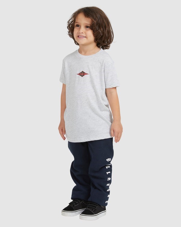 Billabong (2-7) Groms Diamond Wave Krátké Sleeve T-Shirt Světle Šedé | BKEDCS-234