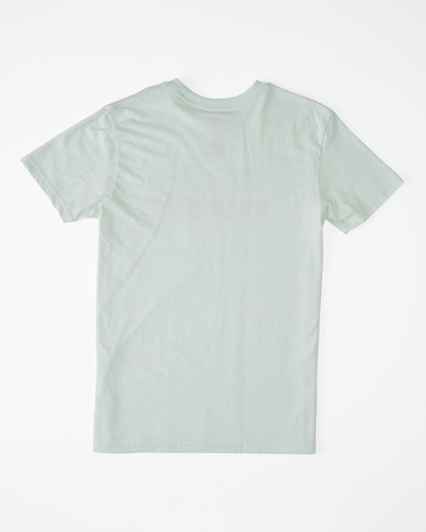 Billabong 2 Palms Krátké Sleeve T-Shirt Seaglass | QMLWGO-860