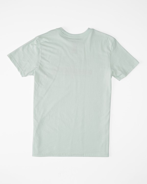 Billabong 2 Palms Krátké Sleeve T-Shirt Seaglass | QMLWGO-860