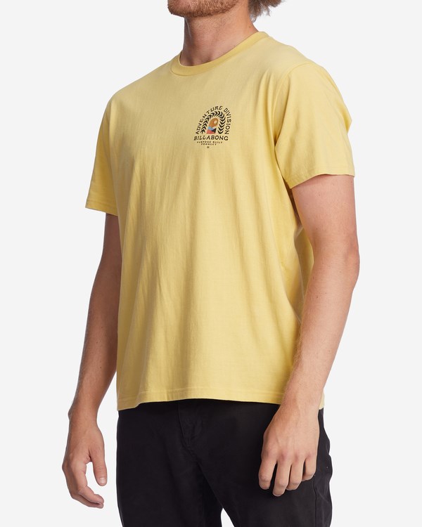 Billabong A/Div Ingress Organic Krátké Sleeve T-Shirt Světle | CPVHJQ-607