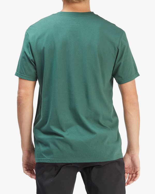 Billabong A/Div Journey Organic Krátké Sleeve T-Shirt Alpine | VCQJZG-148