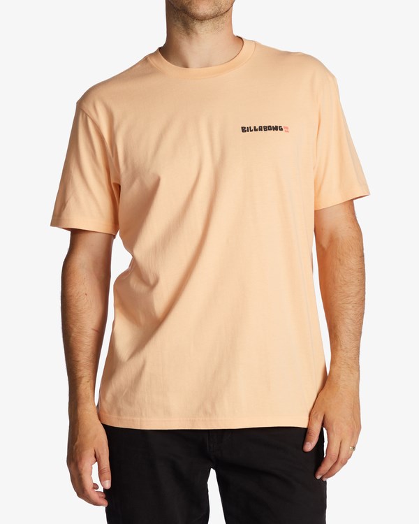 Billabong A/Div Shine Krátké Sleeve T-Shirt Sherbet | CJAMGF-730