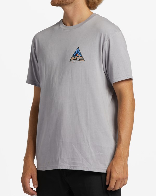 Billabong A/Div Shine Krátké Sleeve T-Shirt Šedé | UFNZCB-763