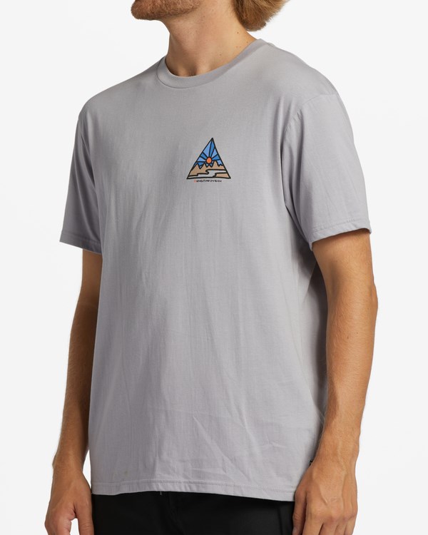 Billabong A/Div Shine Krátké Sleeve T-Shirt Šedé | UFNZCB-763