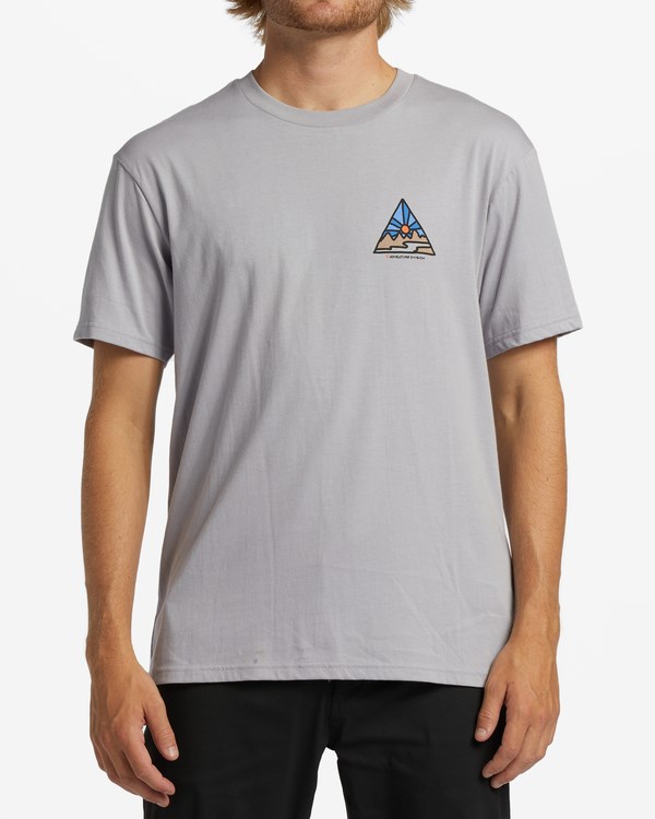 Billabong A/Div Shine Krátké Sleeve T-Shirt Šedé | UFNZCB-763