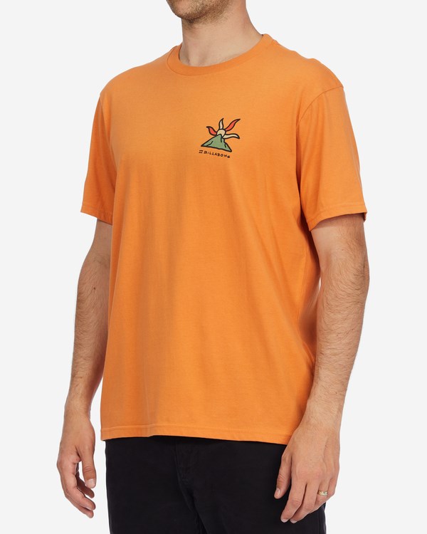 Billabong A/Div Shine Organic Krátké Sleeve T-Shirt Meruňka | DILAZJ-947