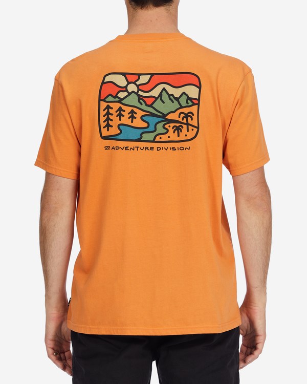 Billabong A/Div Shine Organic Krátké Sleeve T-Shirt Meruňka | DILAZJ-947