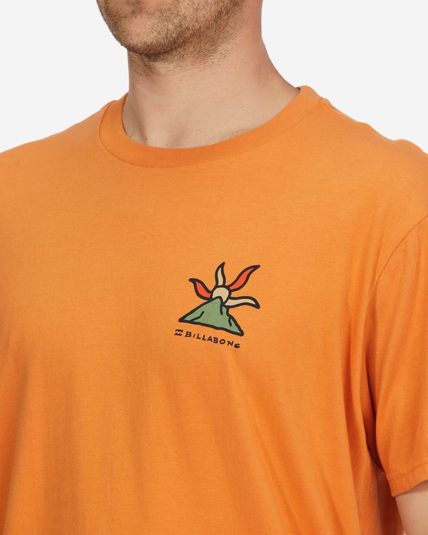 Billabong A/Div Shine Organic Krátké Sleeve T-Shirt Meruňka | DILAZJ-947