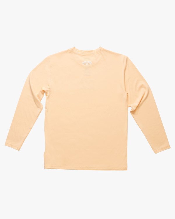 Billabong All Day Wave Loose Fit Long Sleeve Surf Tee Dusty Melon | ASIFBP-320