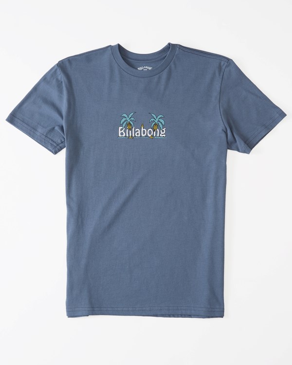 Billabong Chest Pack Krátké Sleeve T-Shirt Blankyt | YVNPRA-097