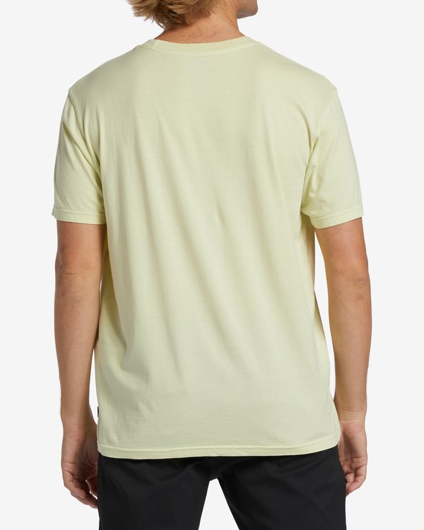 Billabong Chest Wave Washed Krátké Sleeve T-Shirt Světle Zelene | JIGDKN-972