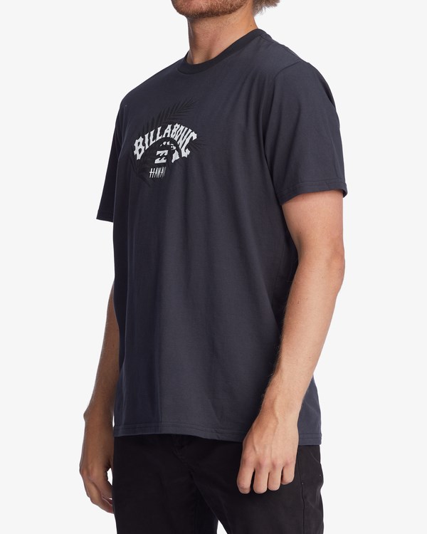 Billabong Kamea Arch Chain Krátké Sleeve T-Shirt Černé | RIZHPB-268