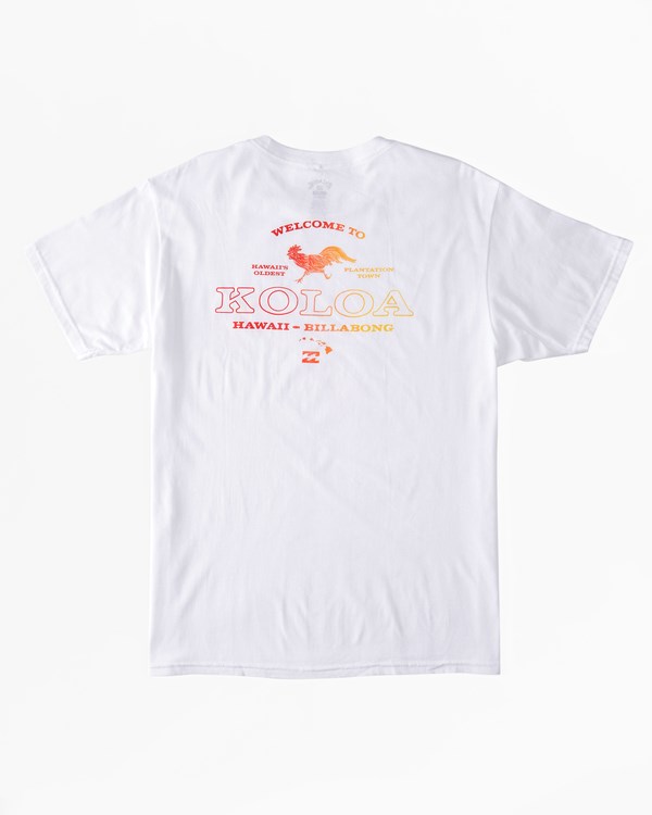 Billabong Koloa Rooster Krátké Sleeve T-Shirt Bílé | ZSLACO-826