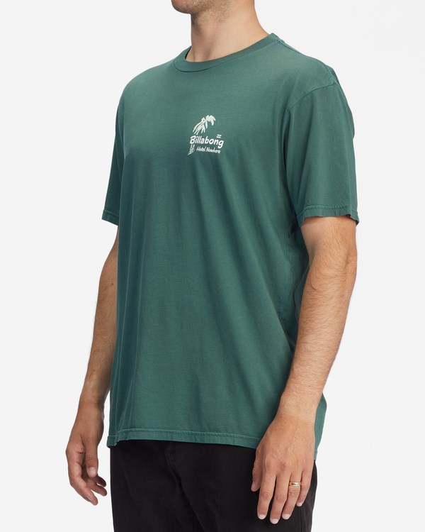 Billabong Leaves Wave Washed Krátké Sleeve T-Shirt Alpine | DFHEKQ-146