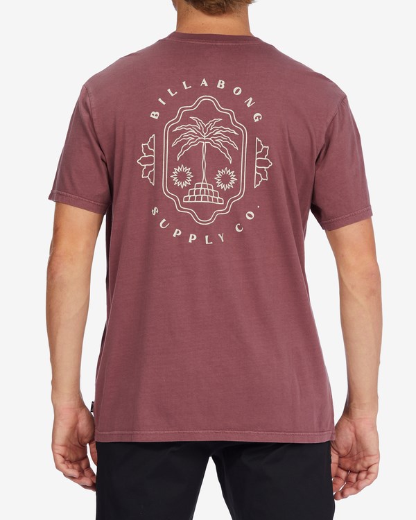 Billabong Light Wave Washed Krátké Sleeve T-Shirt Oxblood | EHATUZ-281