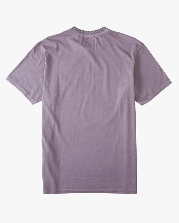 Billabong Mesa Wave Washed Organic Krátké Sleeve T-Shirt Dusty Grape | DFQBSJ-872