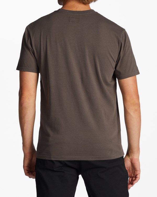 Billabong Mesa Wave Washed Organic Krátké Sleeve T-Shirt Asphalt | OTEKSN-714