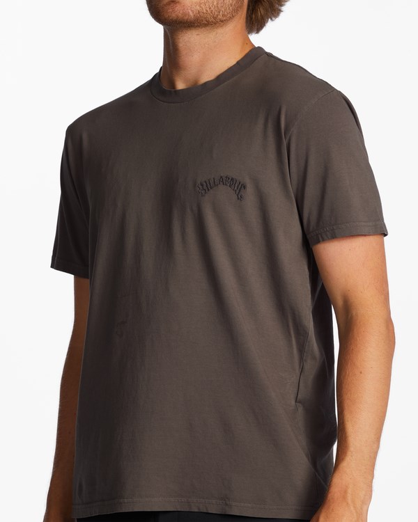 Billabong Mesa Wave Washed Organic Krátké Sleeve T-Shirt Asphalt | OTEKSN-714