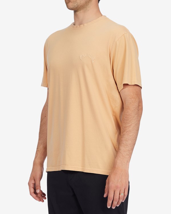 Billabong Mesa Wave Washed Organic Krátké Sleeve T-Shirt Růžové | UXJWEM-084