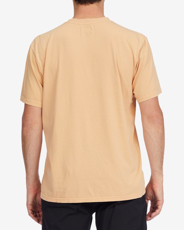 Billabong Mesa Wave Washed Organic Krátké Sleeve T-Shirt Růžové | UXJWEM-084