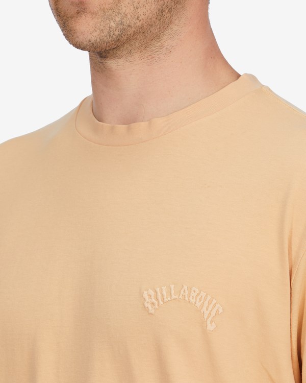 Billabong Mesa Wave Washed Organic Krátké Sleeve T-Shirt Růžové | UXJWEM-084