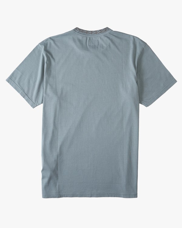 Billabong Mesa Wave Washed Organic Krátké Sleeve T-Shirt Blankyt | XEAWSG-841
