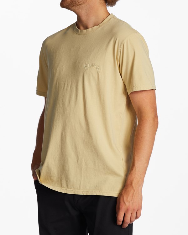 Billabong Mesa Wave Washed Organic Krátké Sleeve T-Shirt Straw | ZIHEPB-372