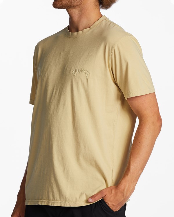 Billabong Mesa Wave Washed Organic Krátké Sleeve T-Shirt Straw | ZIHEPB-372
