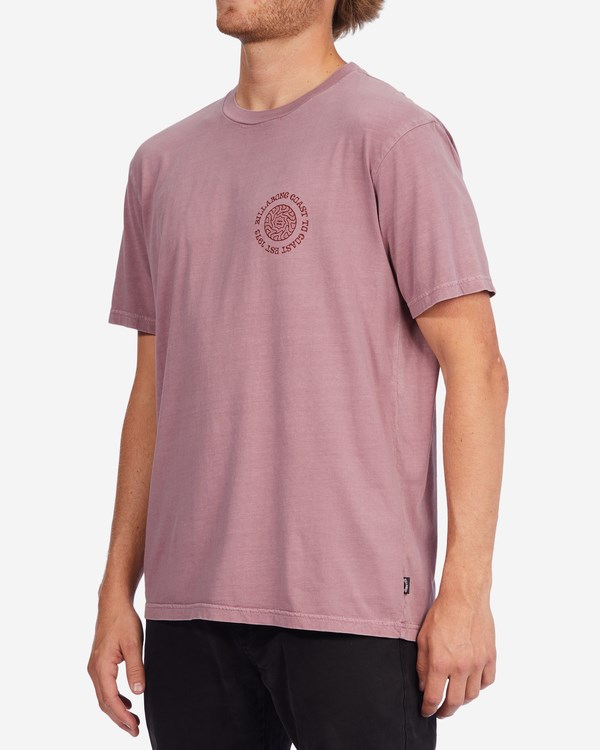 Billabong Radius Wave Washed Krátké Sleeve T-Shirt Dusty Palm | BOQJYU-713