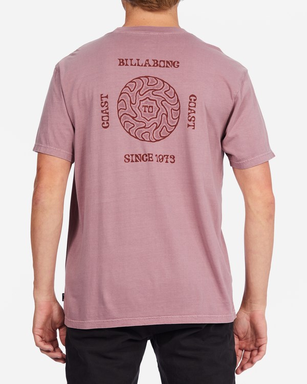 Billabong Radius Wave Washed Krátké Sleeve T-Shirt Dusty Palm | BOQJYU-713
