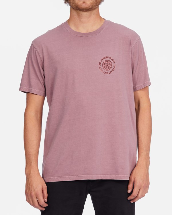 Billabong Radius Wave Washed Krátké Sleeve T-Shirt Dusty Palm | BOQJYU-713